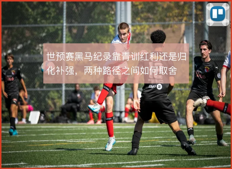 世预赛黑马纪录靠青训红利还是归化补强，两种路径之间如何取舍